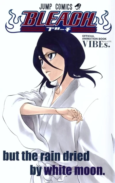 Bleach: Official Animation Book (2006) - Series 