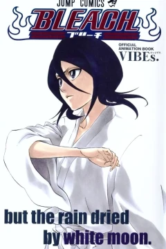 Bleach: Official Animation Book