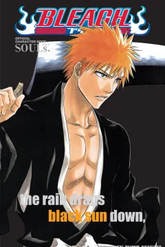 Bleach: Official Character Book