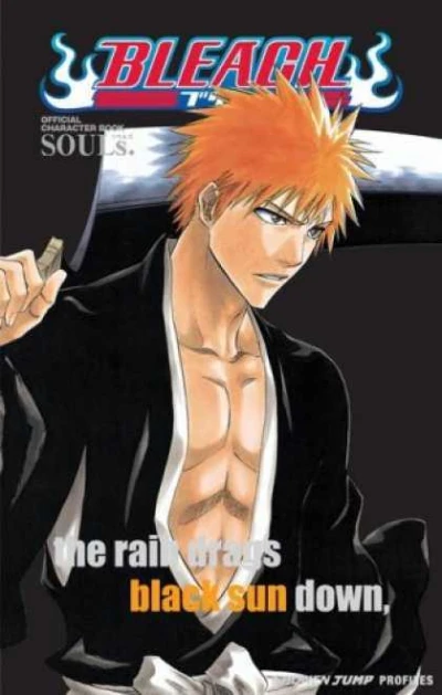 Bleach: Official Character Book (2008) - Series 