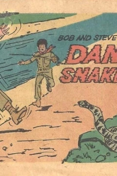 Bob and Steve Scout Encounter Danger at Snake River