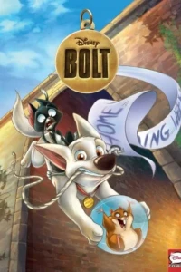 Bolt
