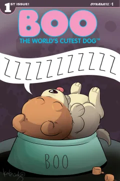 Boo, The World's Cutest Dog
