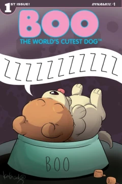 Boo, The World's Cutest Dog