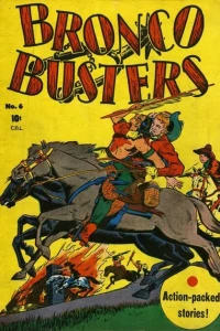 Bronco Busters