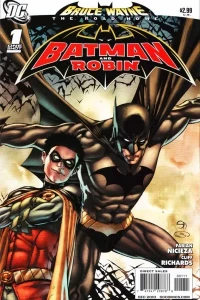Bruce Wayne: The Road Home: Batman and Robin