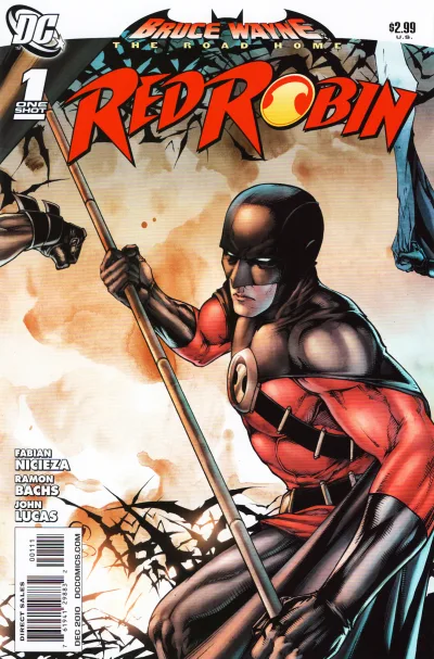 Bruce Wayne: The Road Home: Red Robin (2010) - Series 