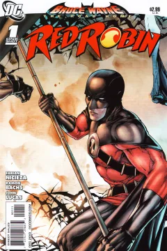 Bruce Wayne: The Road Home: Red Robin