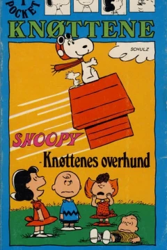 Comic pocket
