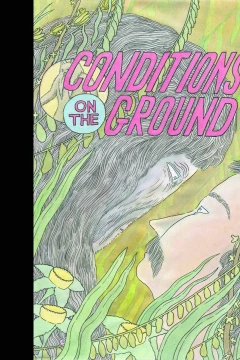 Conditions on the Ground