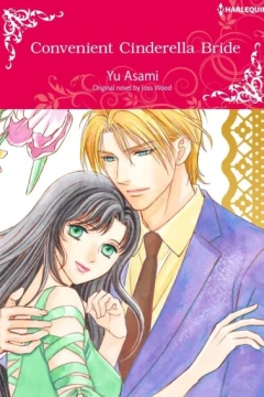 Convenient Cinderella Bride