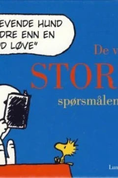 De virkelig store spørsmålene