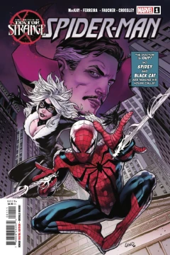 Death of Doctor Strange: Spider-Man