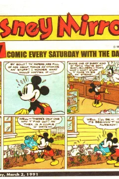 Disney Mirror