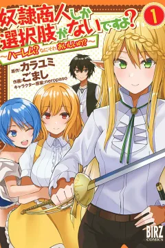 Dorei Shōnin Shika Sentakushi ga Nai Desu yo? - Harem? Nani Sore Oishii no?