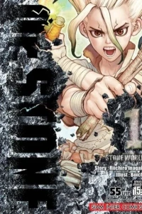 Dr. Stone