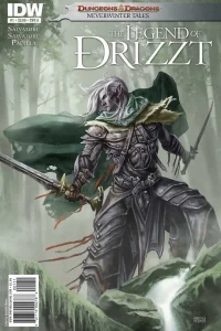 Dungeons & Dragons: The Legend of Drizzt: Neverwinter Tales