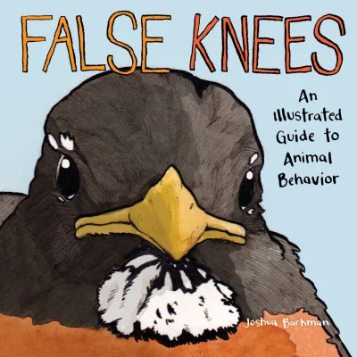 False Knees (2019) - Series 