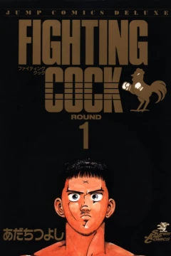 Fighting Cock