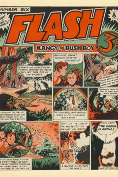 Flash