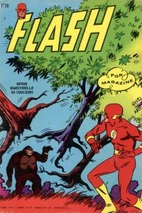Flash