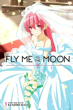 Fly Me to the Moon