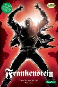 Frankenstein: The Graphic Novel