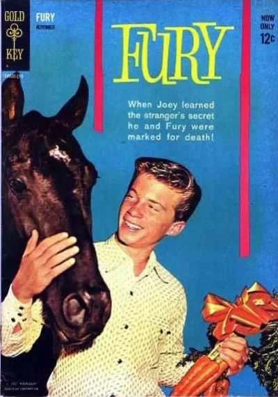 Fury (1962) - Series 