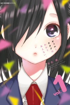 Gal to Otaku wa Wakari Aenai.