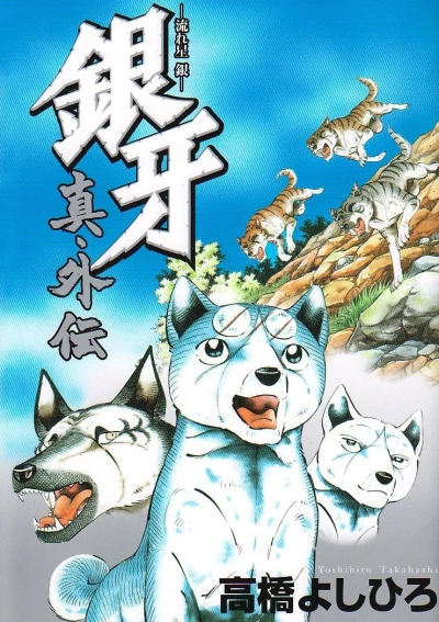 Ginga: Nagareboshi Gin - Shin Gaiden (2009) - Series 