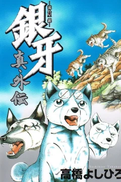 Ginga: Nagareboshi Gin - Shin Gaiden