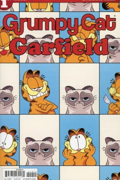 Grumpy Cat/Garfield