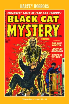 Harvey Horrors: Black Cat Mystery