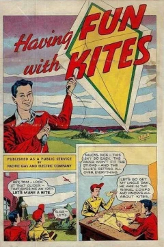 Having Fun With Kites