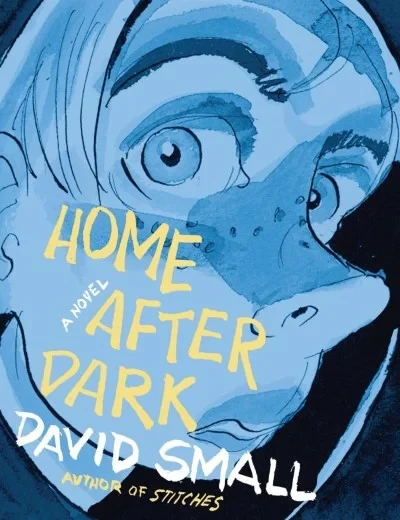 Home After Dark: A Novel (Hardcover, 2018) - Series 