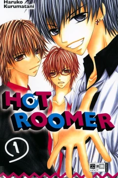 Hot roomer