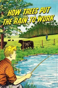 How Trees Put the Rain to Work