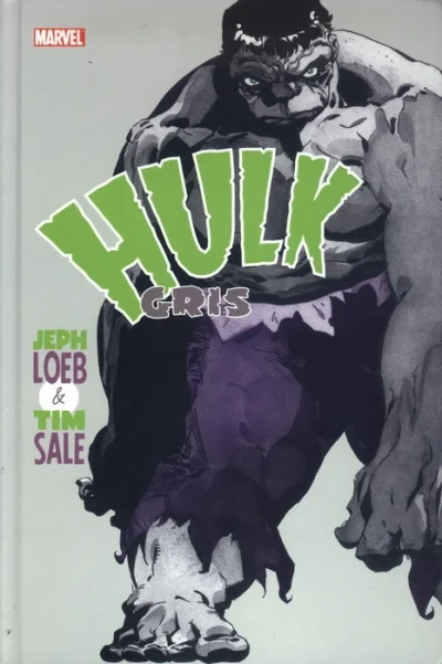 Hulk Gris (2005) - Series 