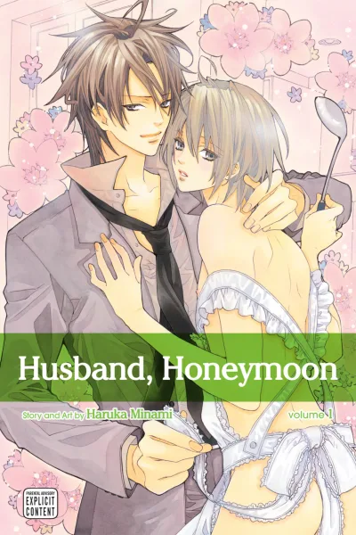 Husband, Honeymoon (2018) - Series 
