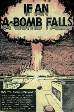 If an A-Bomb Falls