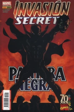Invasión Secreta: Pantera Negra