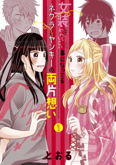 Josō Shite Mendokusai Koto ni Natteru Nekura to Yankee no Ryō Kataomoi (2019) - Series 