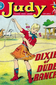 Judy Picture Story Library For Girls