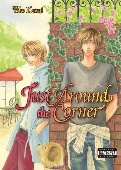 Just Around the Corner (2008) - Series 