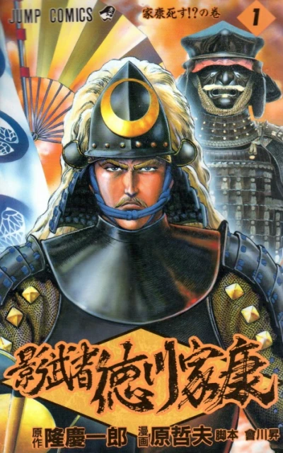 Kagemusha Tokugawa Ieyasu (1994) - Series 