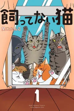 Kattenai Neko