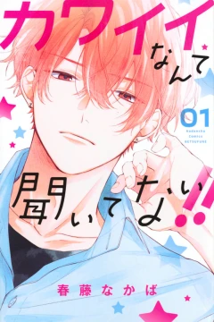 Kawaii Nante Kiitenai!!