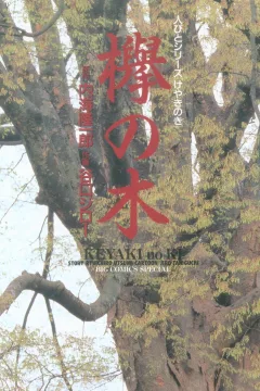 Keyaki no Ki
