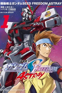 Kidō Senshi Gundam Seed: Freedom Astray