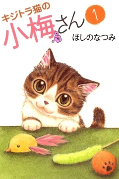 Kijitora Neko no Koume-san